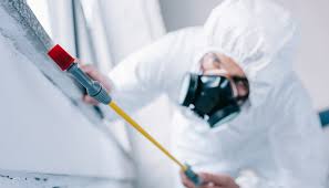 Best Pest Prevention Services  in Watchung, NJ